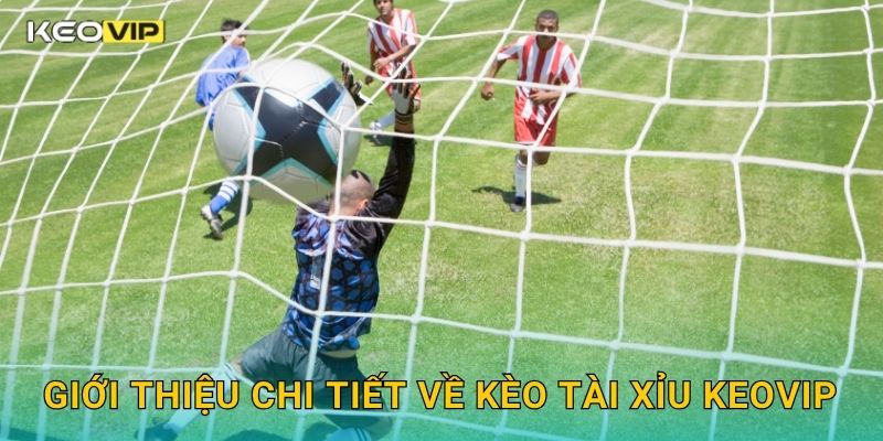 Giới thiệu chi tiết về Kèo tài xỉu Keovip