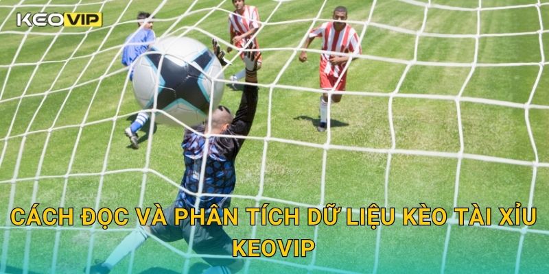 Cách đọc và phân tích dữ liệu Kèo tài xỉu Keovip
