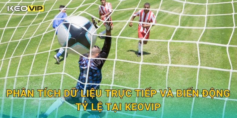 Phân tích dữ liệu trực tiếp và biến động tỷ lệ tại Keovip