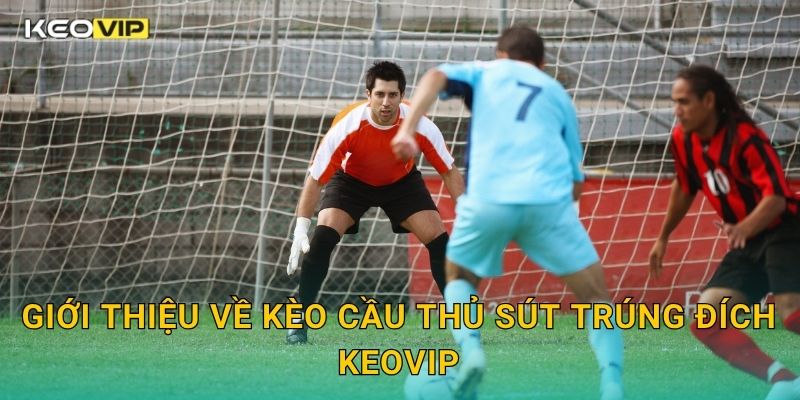 Giới thiệu về Kèo cầu thủ sút trúng đích Keovip