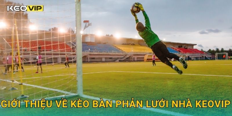 Kèo bàn phản lưới nhà – Phân tích yếu tố bất ngờ tại Keovip 1 Giới thiệu về Kèo bàn phản lưới nhà Keovip