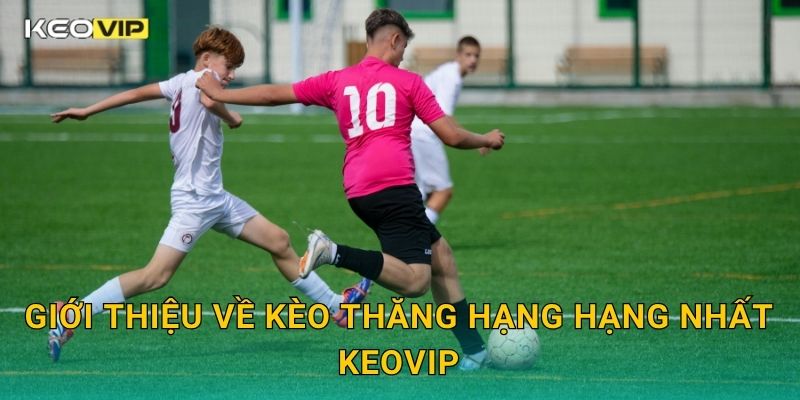 Giới thiệu về Kèo thăng hạng hạng nhất Keovip