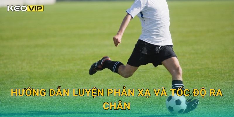 Hướng dẫn luyện phản xạ và tốc độ ra chân