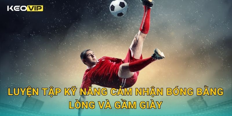 Mẹo Sử Dụng Gầm Giày Keovip – Kỹ Năng Kiểm Soát Và Đột Phá Bất Ngờ 2 Luyện tập kỹ năng cảm nhận bóng bằng lòng và gầm giày