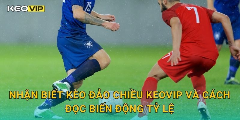 Nhận biết kèo đảo chiều Keovip và cách đọc biến động tỷ lệ