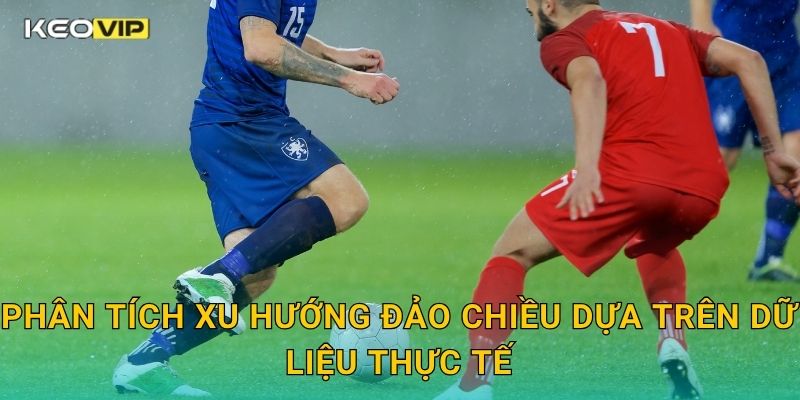 Phân tích xu hướng đảo chiều dựa trên dữ liệu thực tế